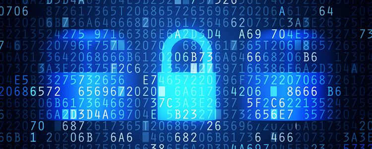 IT-Sicherheit: Datenschutz, Betrug im Internet, Bundestrojaner. Das